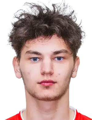 乔治·里科夫头像