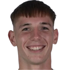 扎兰·托特头像