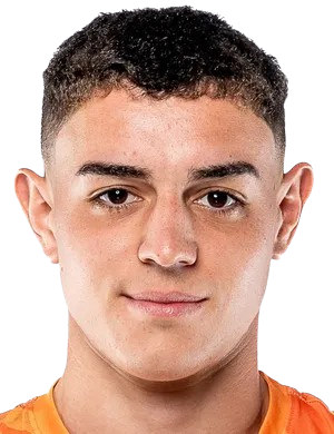 尼古拉斯·博尔卡托头像