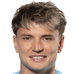 安德烈·莫斯托沃头像