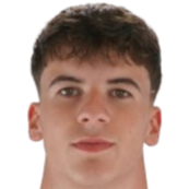 霍夫雷·托伦茨头像