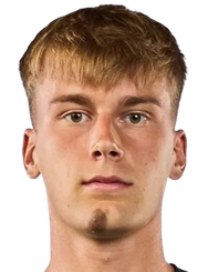 罗德里戈·博尔佐内头像