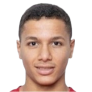 穆罕默德·侯萨尼头像