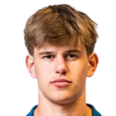 芬·桑德斯特罗姆头像