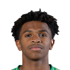 图尔基·纳吉头像