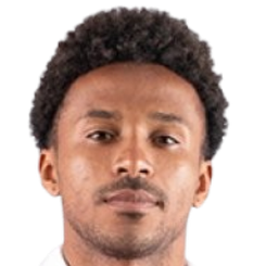 拉米罗.巴里维安头像