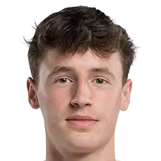 内森·胡格维尔德头像