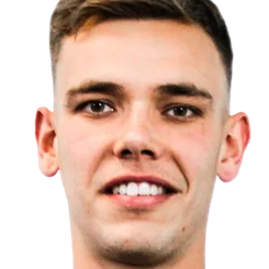 卡米尔索尚头像