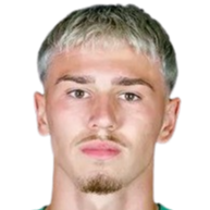 诺亚·佩施头像