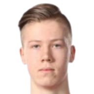 卢卡斯·埃里克森头像