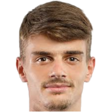 卢卡·斯卡里奇奇头像