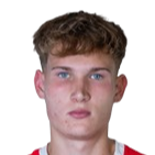 埃米尔 甘泽尔头像