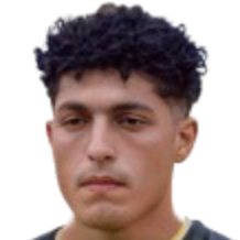 埃桑·法尤米头像