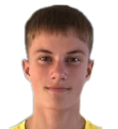 加布里埃尔·冈纳森头像