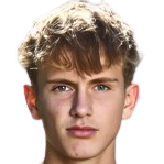 桑德·拉文头像