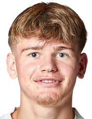 大卫·利希滕施泰格头像