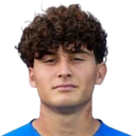 弗朗西斯科·瓦拉雷利头像