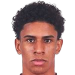 保罗·维克托头像