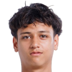 蒂亚戈·韦尔穆伦头像