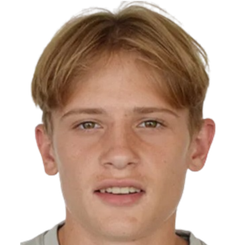 德米特罗·切尔尼什头像