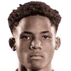 德尼切·希尔头像