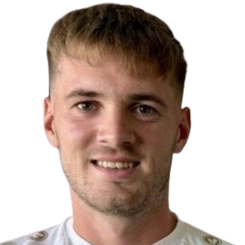 丹尼尔·萨梅克头像