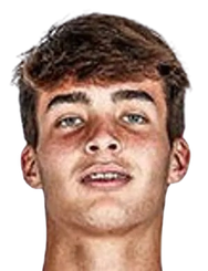 古斯塔沃·加布里埃尔·桑托斯·费雷拉头像