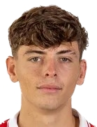 杰罗尼莫·多米纳头像