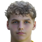 蒂姆·范德莱伊头像