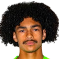 泰奥·埃尔维耶-吉斯凯头像