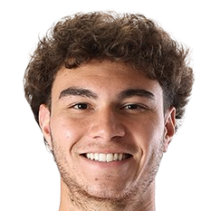 亚瑟·维亚纳	头像