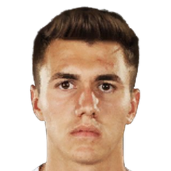 亚历山德鲁·克里斯蒂安·斯坦头像