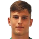 卢卡·萨瓦托维奇头像