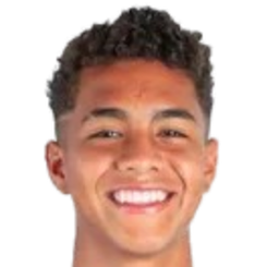 大卫·莱昂纳迪头像