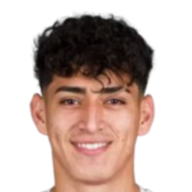 大卫·费尔南德斯头像