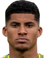 亚尼克·奥诺希尔头像