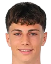 阿里·德米尔比莱克头像