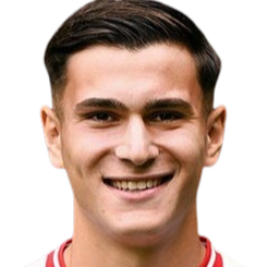 埃明·库约维奇头像