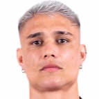 路易斯·阿劳若头像