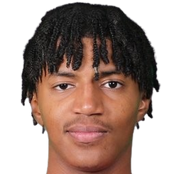 艾曼·法拉塔头像