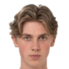 布拉吉·海伦头像