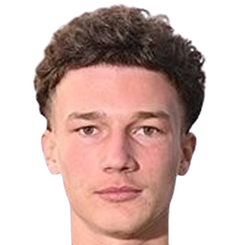 斯蒂芬·佐迪奇头像