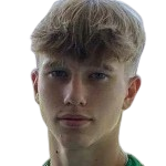 伊罗·门多林头像