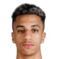 福阿德·扎胡阿尼头像