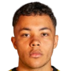 莱安德罗·埃尔维斯塔德·内托头像