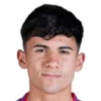 维森特·阿尔瓦雷斯头像