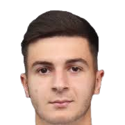 大卫·约翰·杜米特拉头像