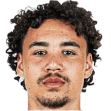 拉斐尔·卢巴赫头像