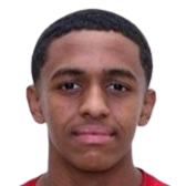 海萨姆·沙菲头像