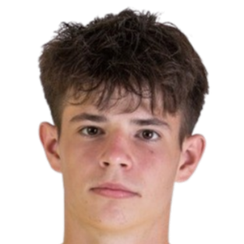 托比亚斯·帕利斯卡克头像